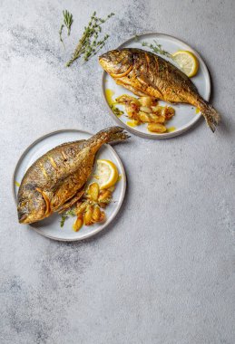 Izgara deniz çerezi ya da gri tabakta dorada. Gri arkaplan