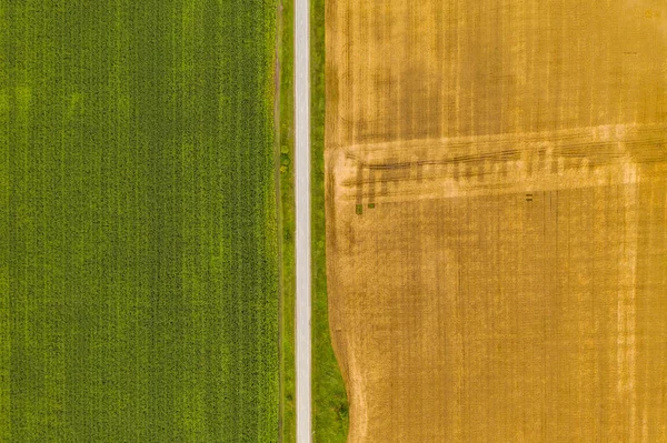 Fotografia aérea de drone vista superior de uma terra com campos verdes semeados no campo — Fotografia de Stock