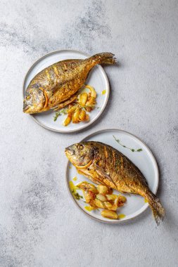 Izgara deniz çerezi ya da gri tabakta dorada. Gri arkaplan