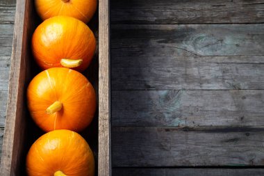 Sonbahar kabakları ile sonbahar bileşimi, kopyalama alanı.