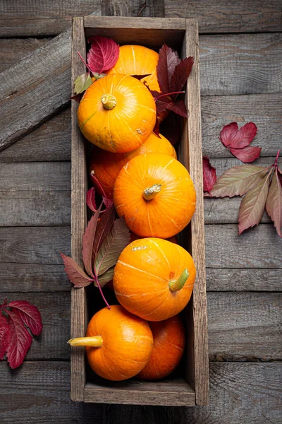 Calabazas de otoño con hojas rojas sobre un fondo de madera. Concepto de Halloween de otoño. Copiar espacio —  Fotos de Stock