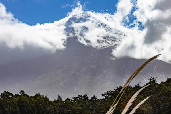 파노라마 국립 공원. 화산 오소 르노, 로스 라고스 칠레 — 스톡 사진
