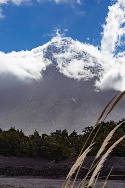 파노라마 국립 공원. 화산 오소 르노, 로스 라고스 칠레 — 스톡 사진