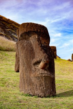 Ranu Raraku Volcan 'da Moai. Ester Adası Manzarası.