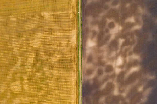 Fotografia Aérea Drone Vista Superior Uma Terra Com Campos Verdes — Fotografia de Stock