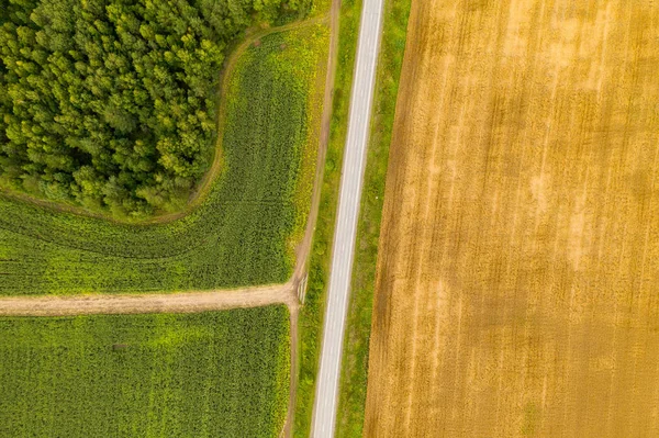 Aerial Top Widok Dron Fotografia Ziemi Zasianych Zielonych Pól Wsi — Zdjęcie stockowe