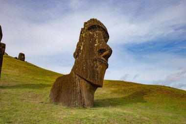 Paskalya Adası 'ndaki taş heykeller Moai Rapa Nui.