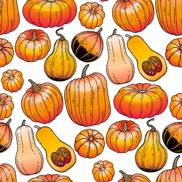 Graphic collection of pumpkins — Stock Vector