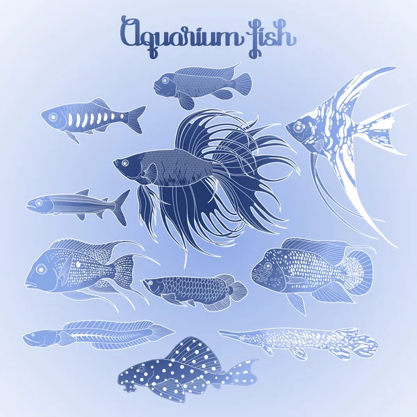 Graphic aquarium fish set - Stok Vektor