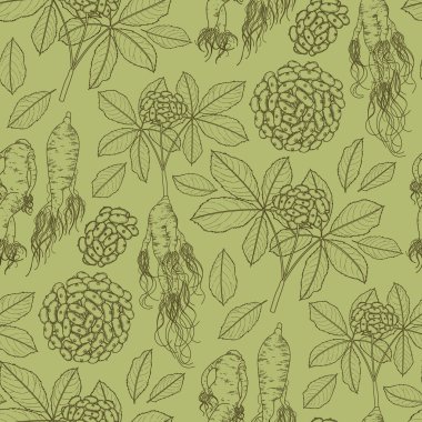 Grafik ginseng kök ve çilek