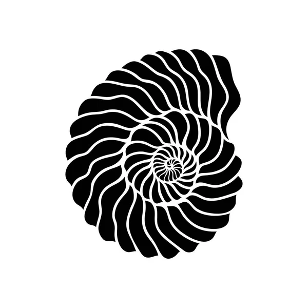 图形圆贝壳 — 图库矢量图片