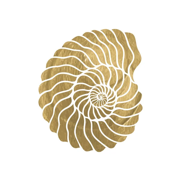 Graphic circle seashell — Stock Vector