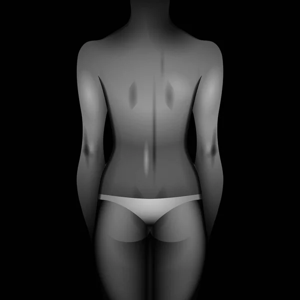 Modèle de corps de femmes — Image vectorielle