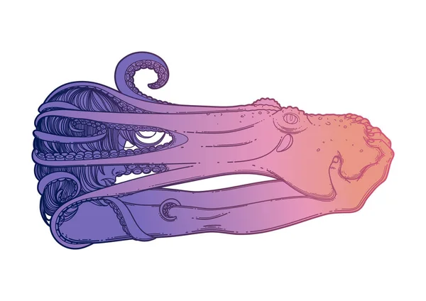 Fille graphique avec pieuvre — Image vectorielle