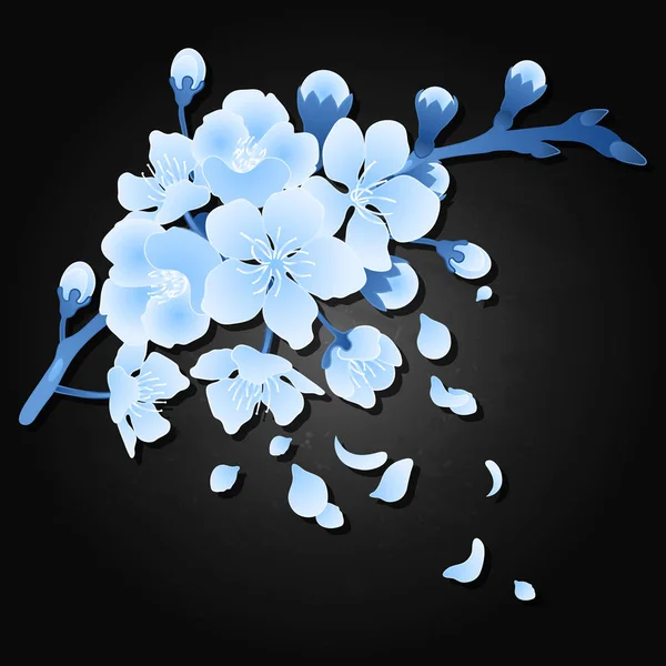 Grafické sakura květiny — Stockový vektor