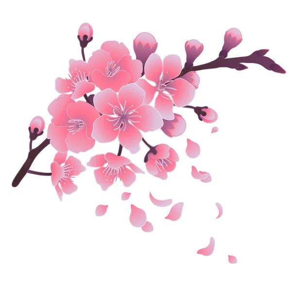 Flores de sakura gráfica — Archivo Imágenes Vectoriales