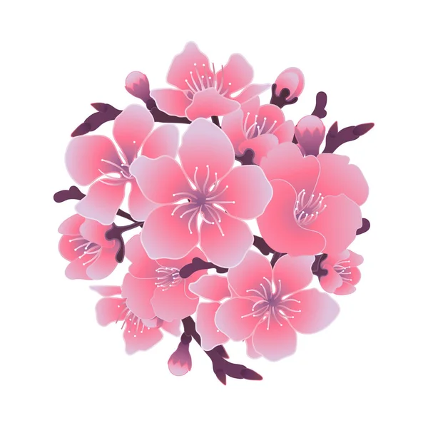 Vignette graphique sakura — Image vectorielle