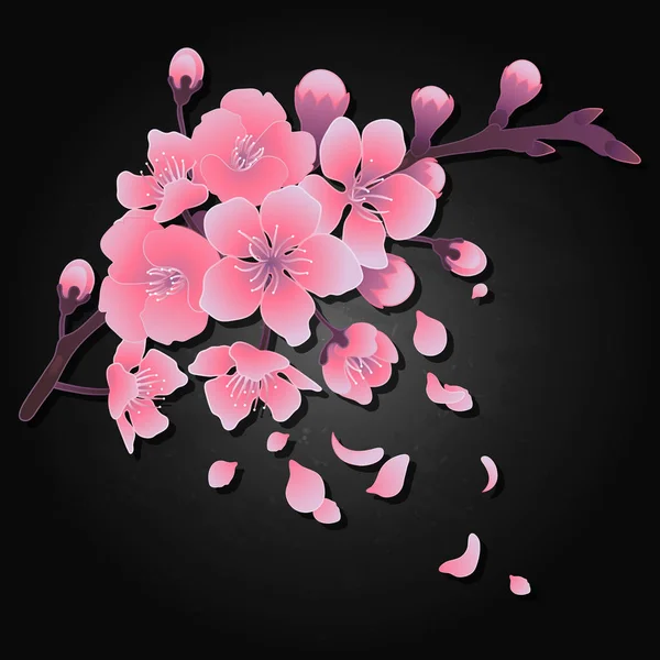 Grafické sakura květiny — Stockový vektor