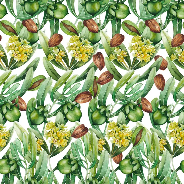 수채화 jojoba 패턴 — 스톡 사진
