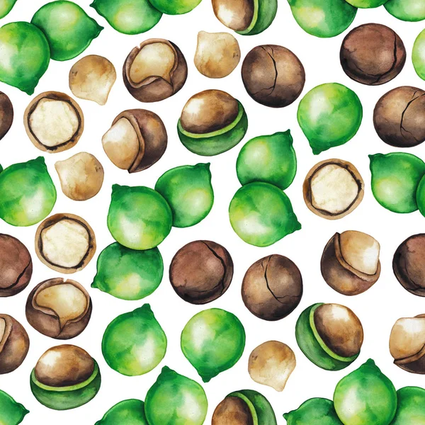 Acuarela nueces de macadamia —  Fotos de Stock