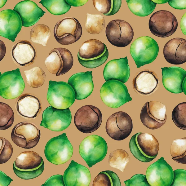 Акварельные орехи макадамии — стоковое фото