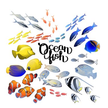 Grafik Okyanus balık