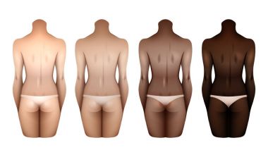 Kadın organları şablonları