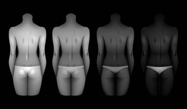 Kadın organları şablonları