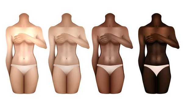 Women bodies templates — Stock Vector
