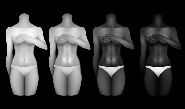 Modèles de corps de femmes — Image vectorielle