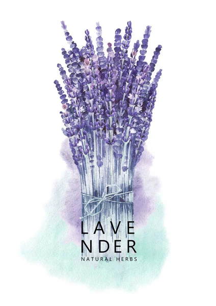 Watercolor lavender bouquet