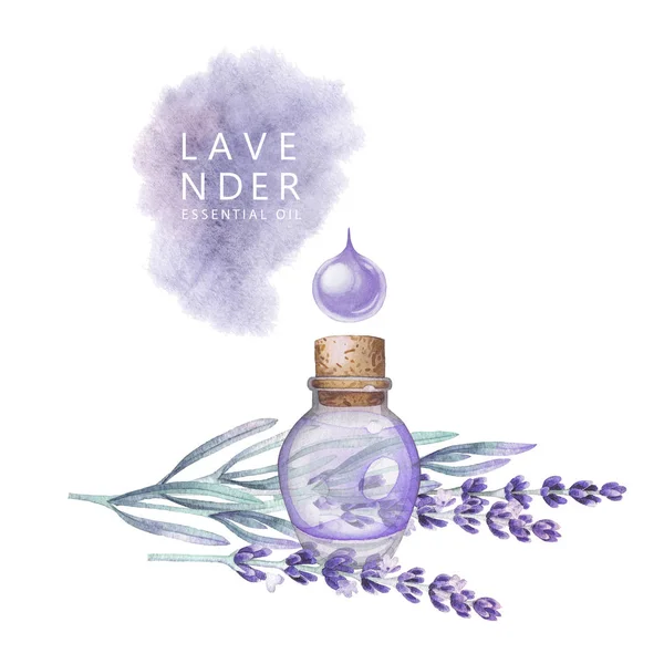 Watercolor lavender oil — Stock Photo, Image