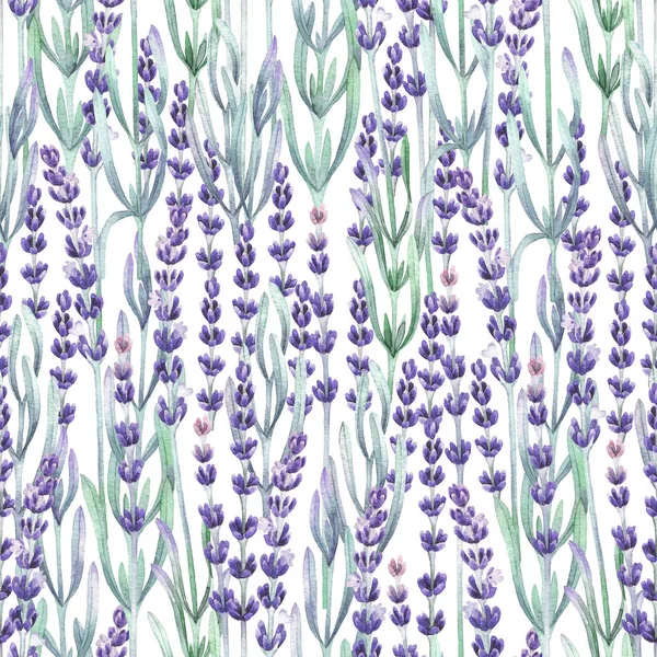 Akvarell lavendel mönster — Stockfoto