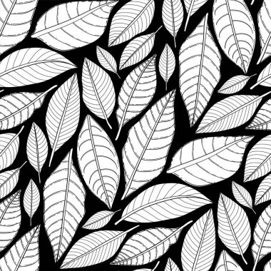 Grafik yaprakları desen