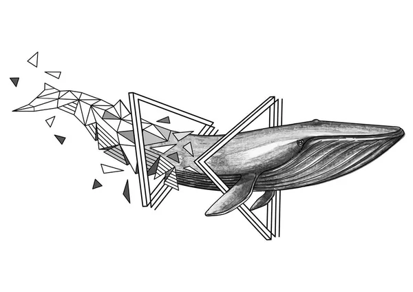 Balena azzurra grafica — Vettoriale Stock