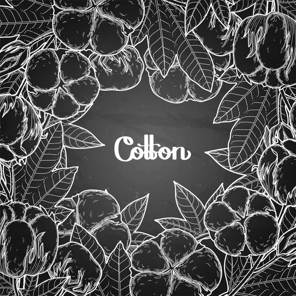 Plantes graphiques de coton — Image vectorielle