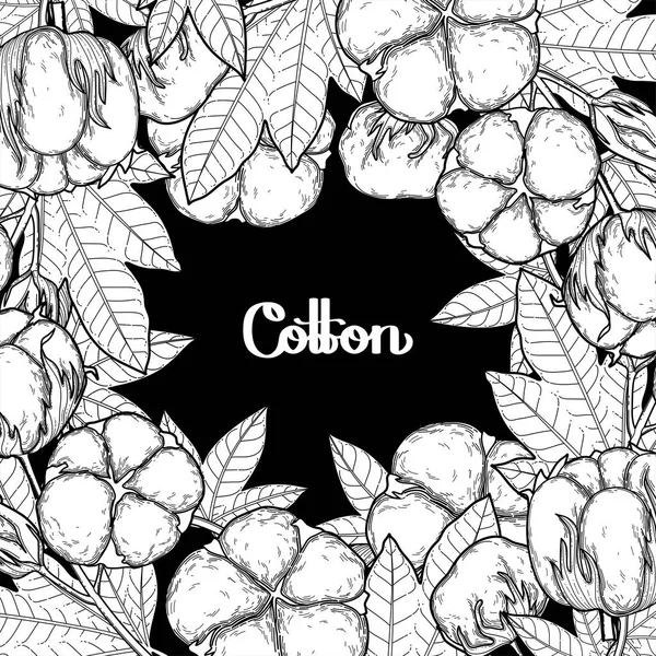 Plantes graphiques de coton — Image vectorielle