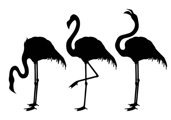 Leuke afbeelding flamingo — Stockvector