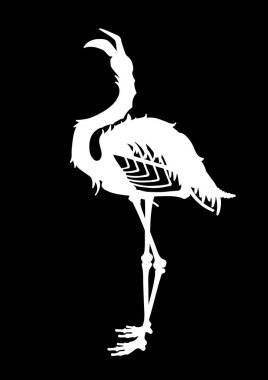 Grafik şeytani flamingo