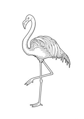 Sevimli grafik flamingo
