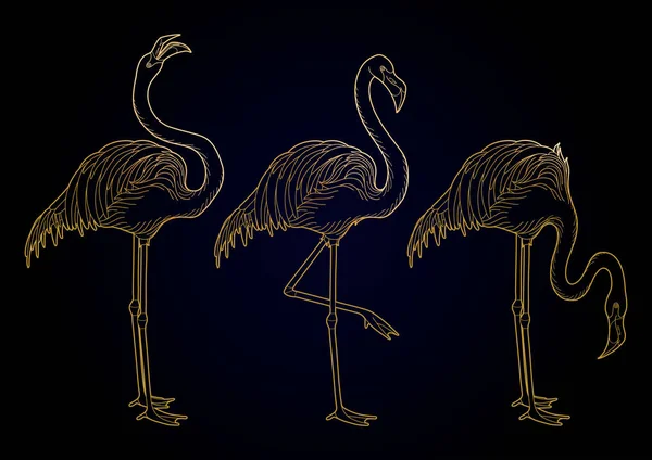 Aranyos grafika flamingó — Stock Vector
