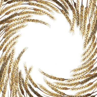 Suluboya malt tasarım