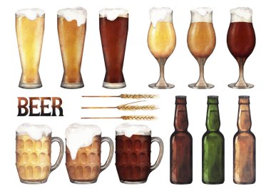 Suluboya bardak bira