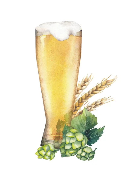 水彩ビールのデザイン — ストック写真
