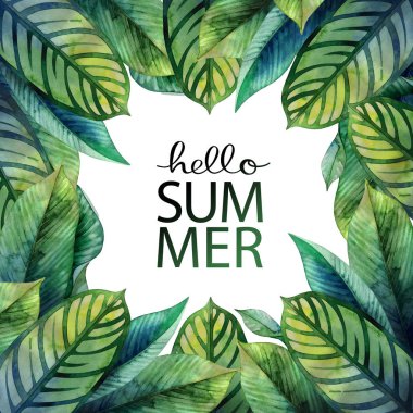 Suluboya heliconia yaprakları