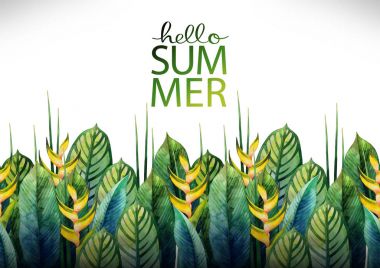 Suluboya heliconia tasarım