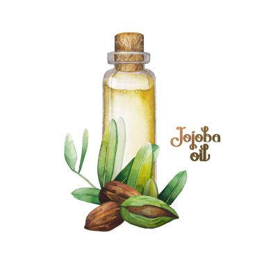 Suluboya Jojoba bitki