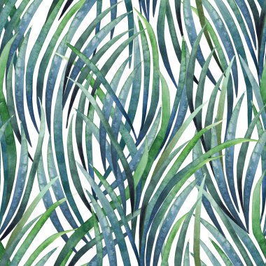 Sulu Boya tillandsia cyanea desen