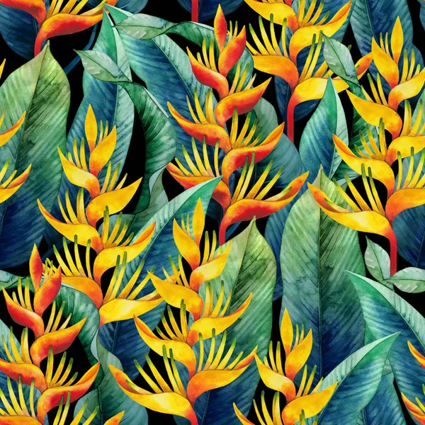 Watercolor heliconia pattern — Stock Photo, Image