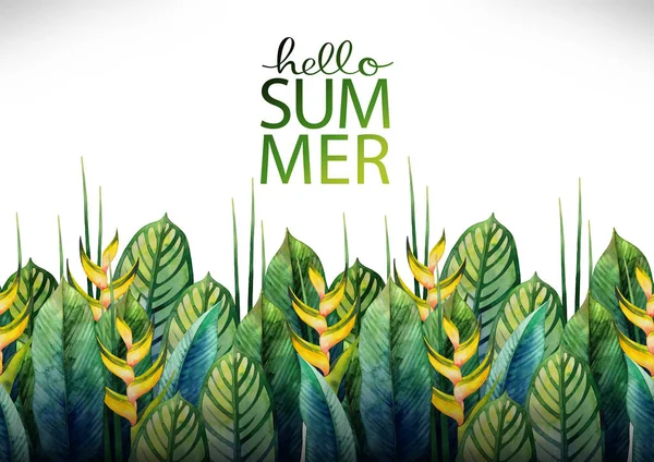 Suluboya heliconia tasarım